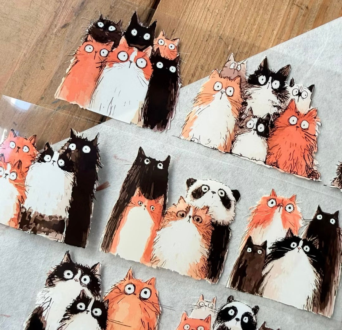 NEW! Neverland - Stunned Cat | 5.5cm PET Tape | Release Paper | 10M