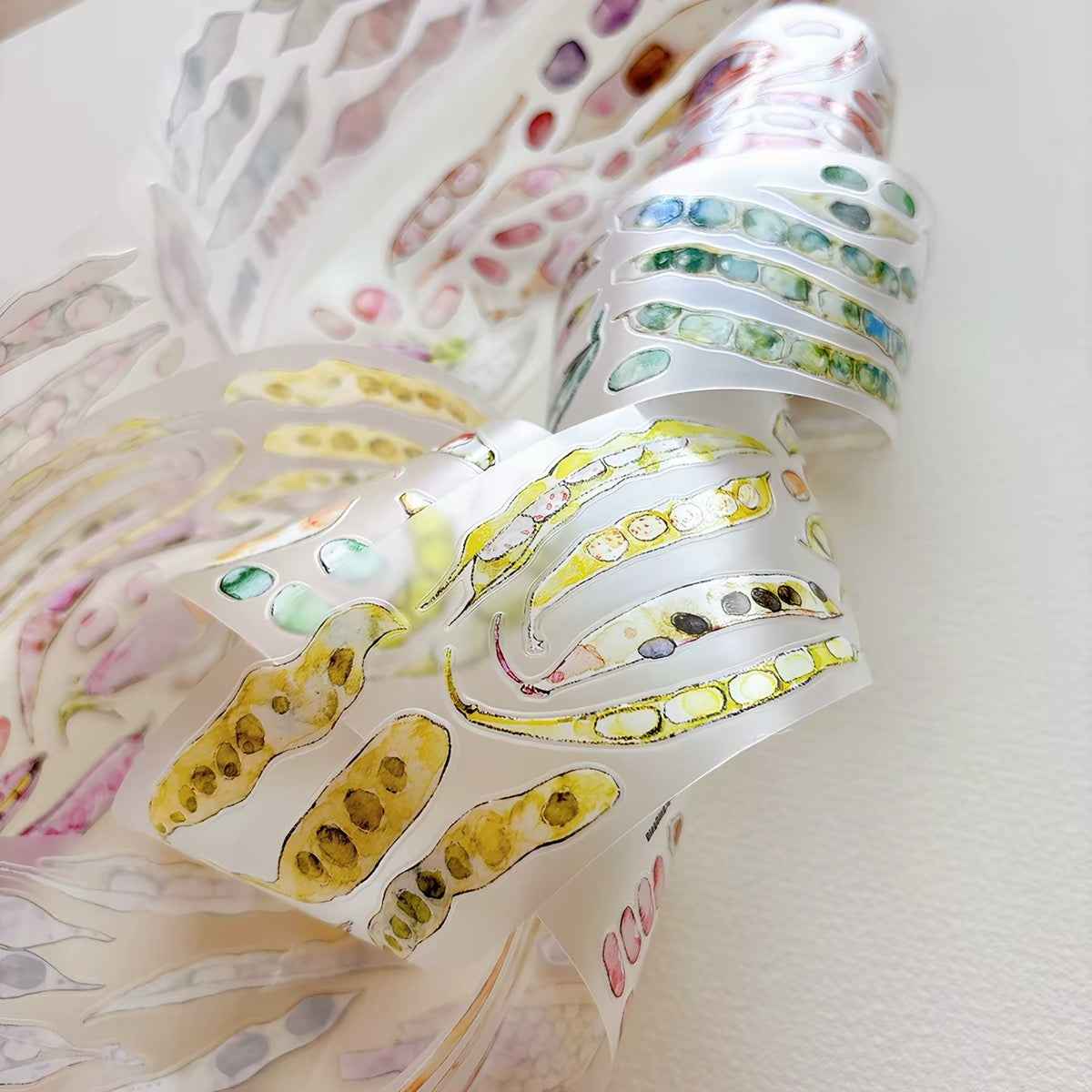 NEW! DingDing - A68 Pea Pods | Kiss-cut | 5cm PET Tape | Release Paper | 5M