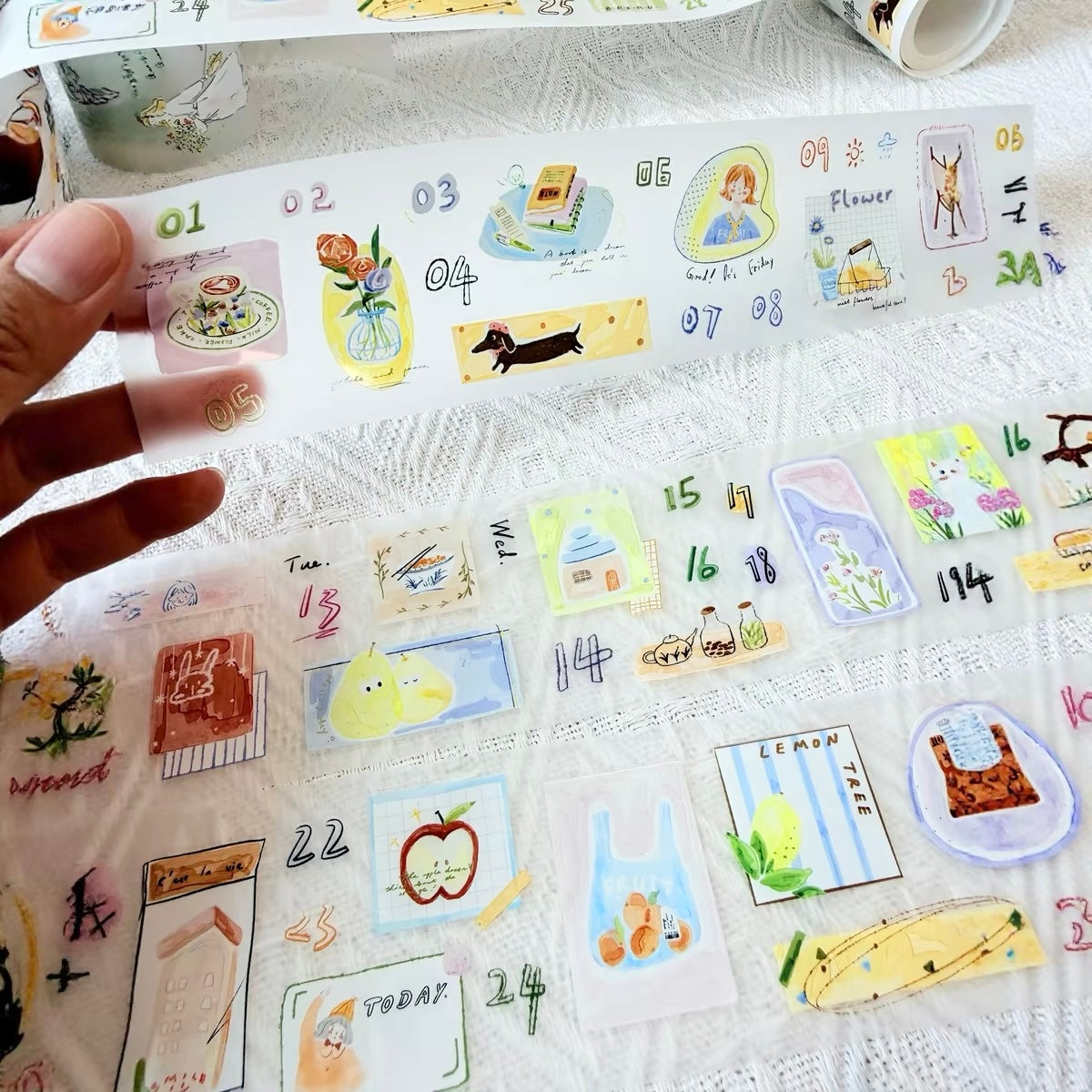 NEW! Lynn Illustration - Date | Kiss-cut | 6cm Tape | Release Paper | 5M