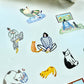 NEW! Wanle Studio - My everyday life with cat | Kiss-cut | 5cm Tape | Release Paper | 6M