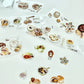 NEW! Jennyuanzi Studio - Delicious Food | Kiss-cut | 3cm Tape | Release Paper | 5M