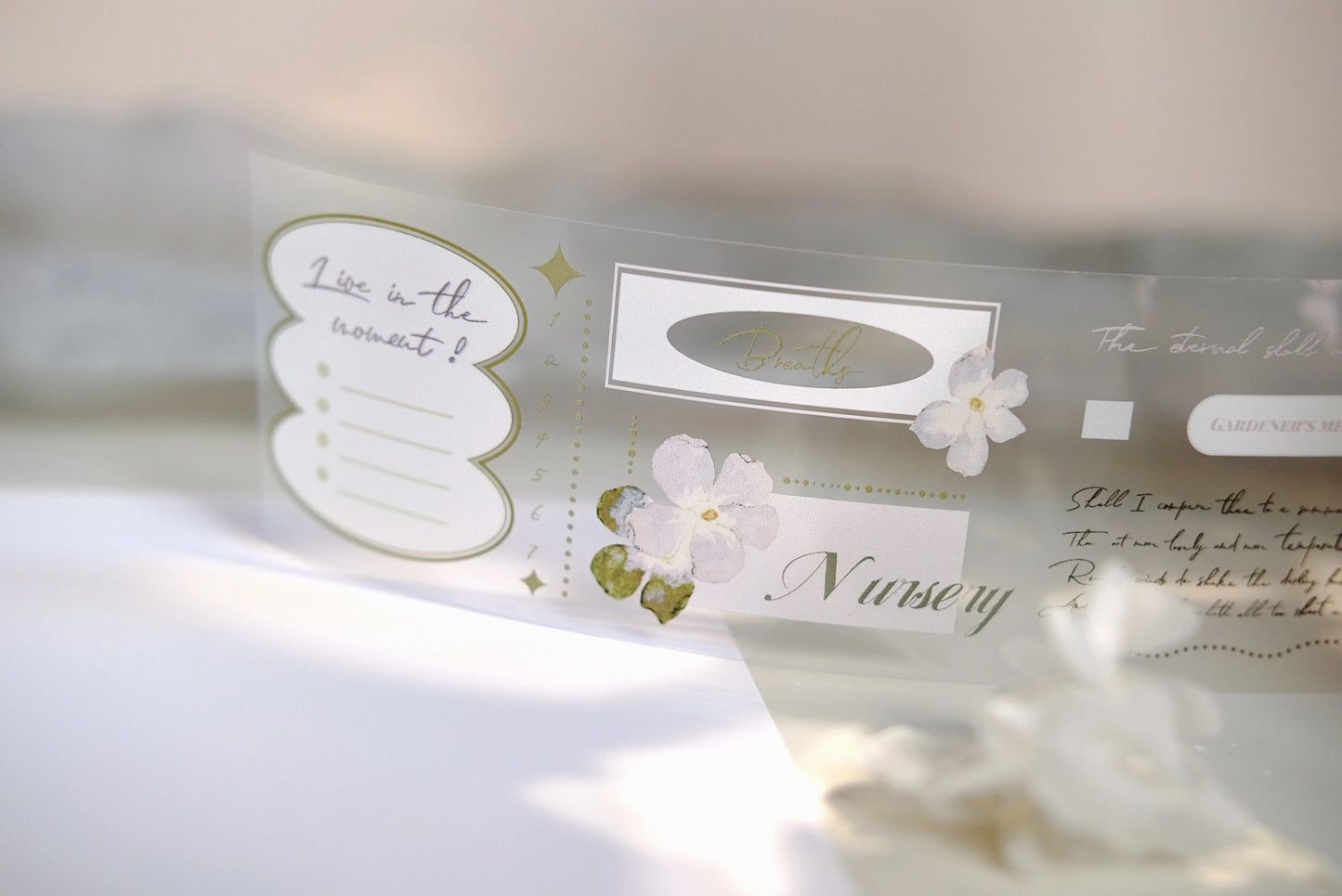 NEW! Freckles Tea Vol.4- GLOSSY PET Tape | Release Paper | 4 Rolls Set With Box