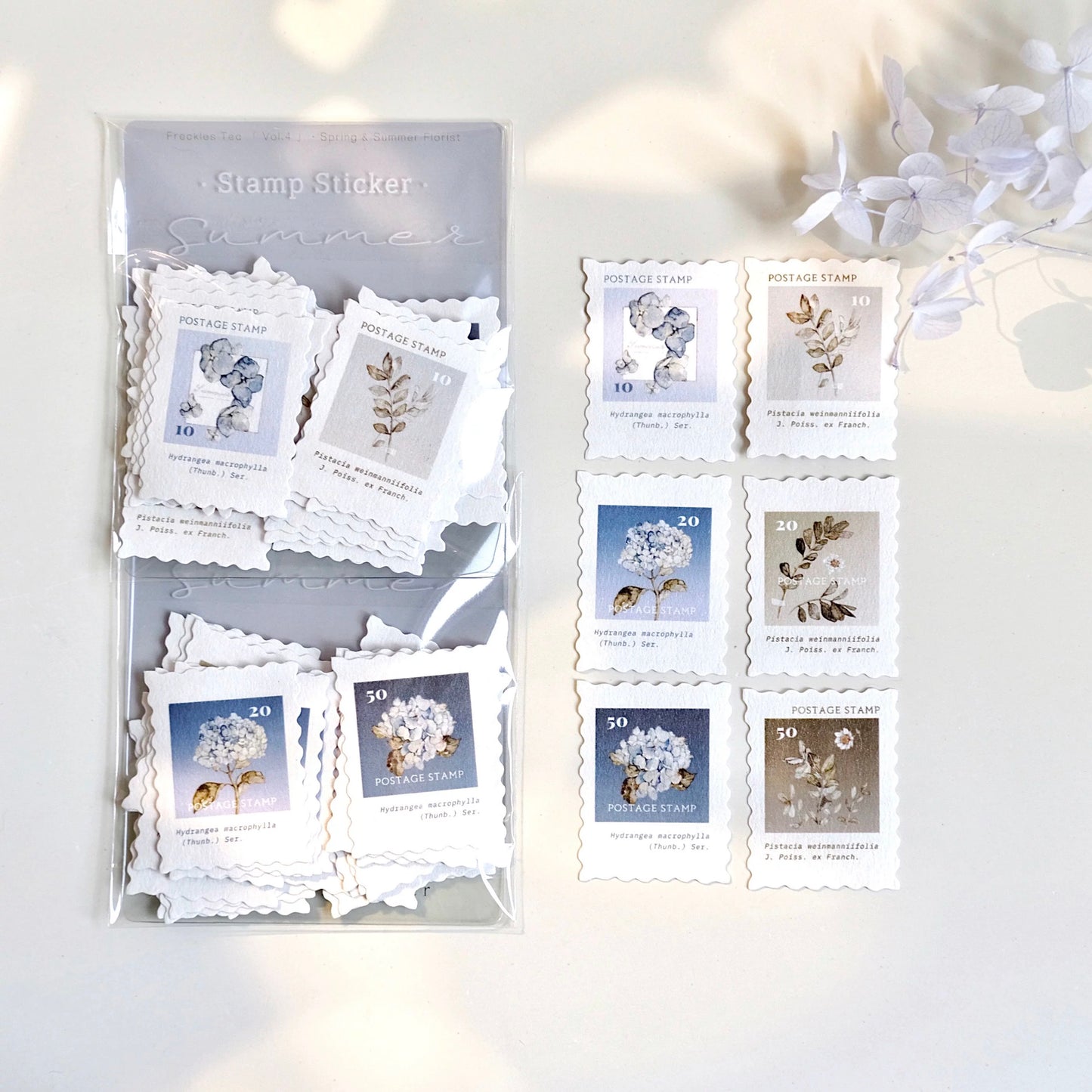 NEW! Freckles Tea- Vol.4 Stamp Sticker | 30pcs Sticker Pack