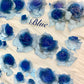 YYR - Blue Rose | 6cm Iridescent PET Tape | Release Paper