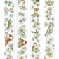 NEW! DingDing - A35 Pear Blossom | Kiss-cut | 6cm Matte PET Tape | Release Paper | 5M