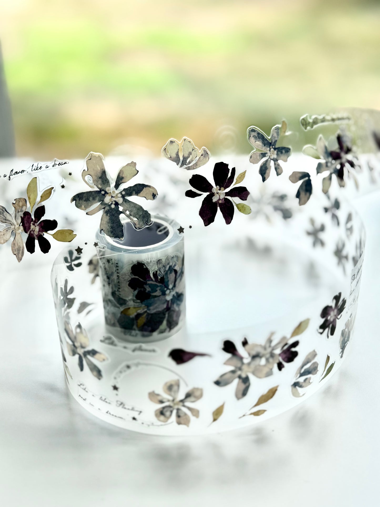 NEW! XBJia Studio - Dream | Kiss-cut | 4.5cm Tape | Release Paper | 6M