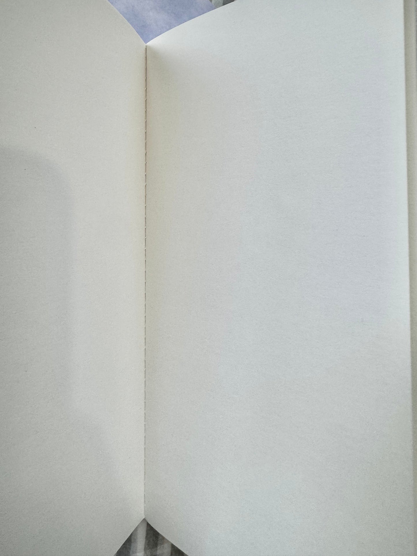 NEW! Limited Edition DingDing | Traveler's Note Book | Blank | Standard Size | TN Refill | Journaling Accessories