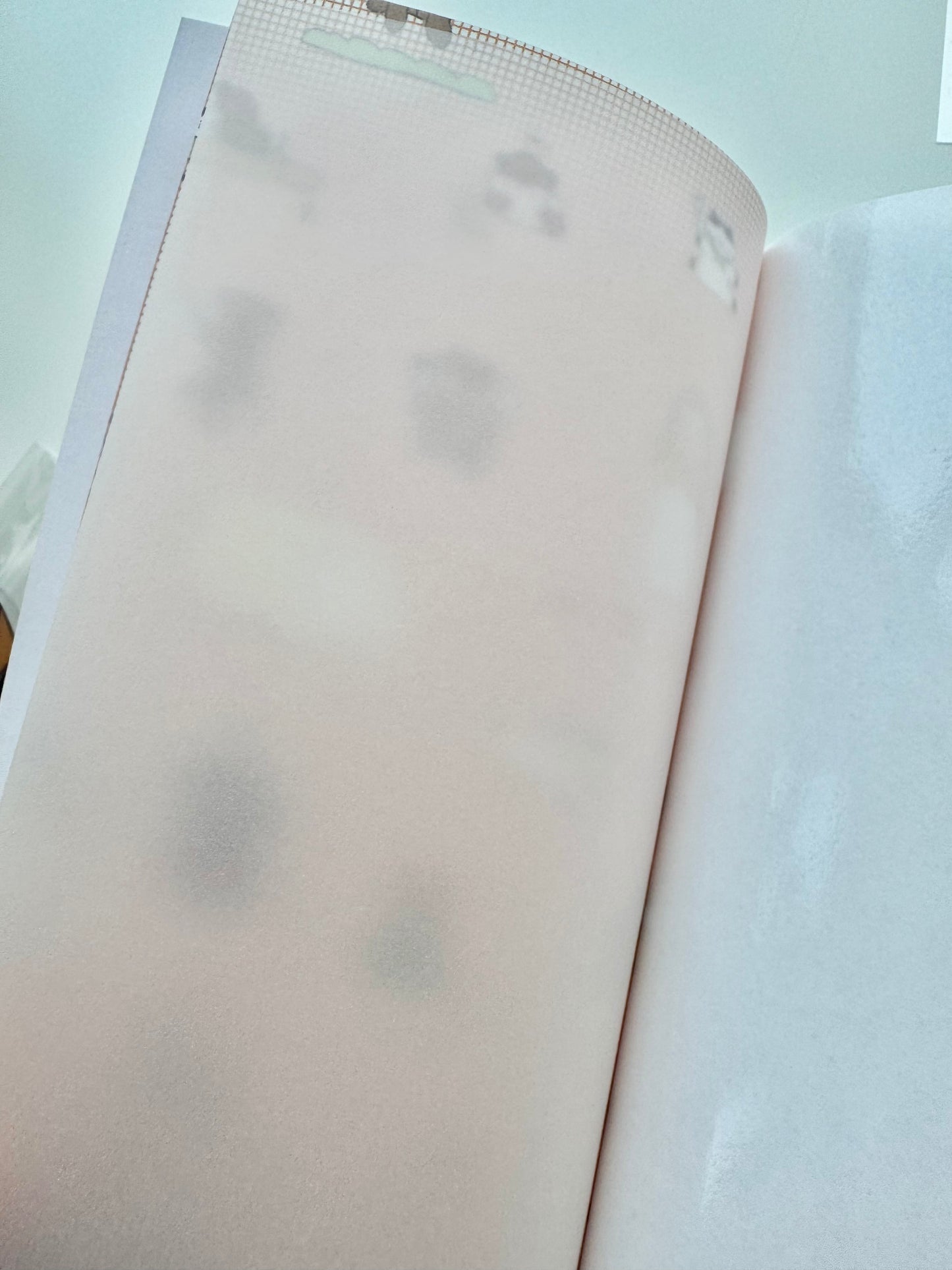 NEW! Lazy Home X Ranmyu Vol.1 | TN Refill | Standard Size | Release Paper Book | Journaling Accessories