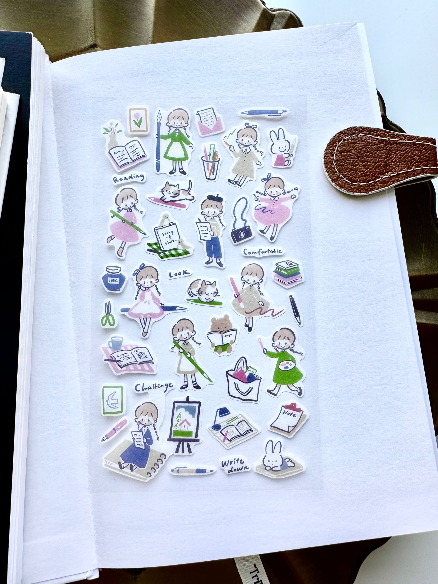 Molinta - Line & Color | Washi Paper | Die Cut | Sticker