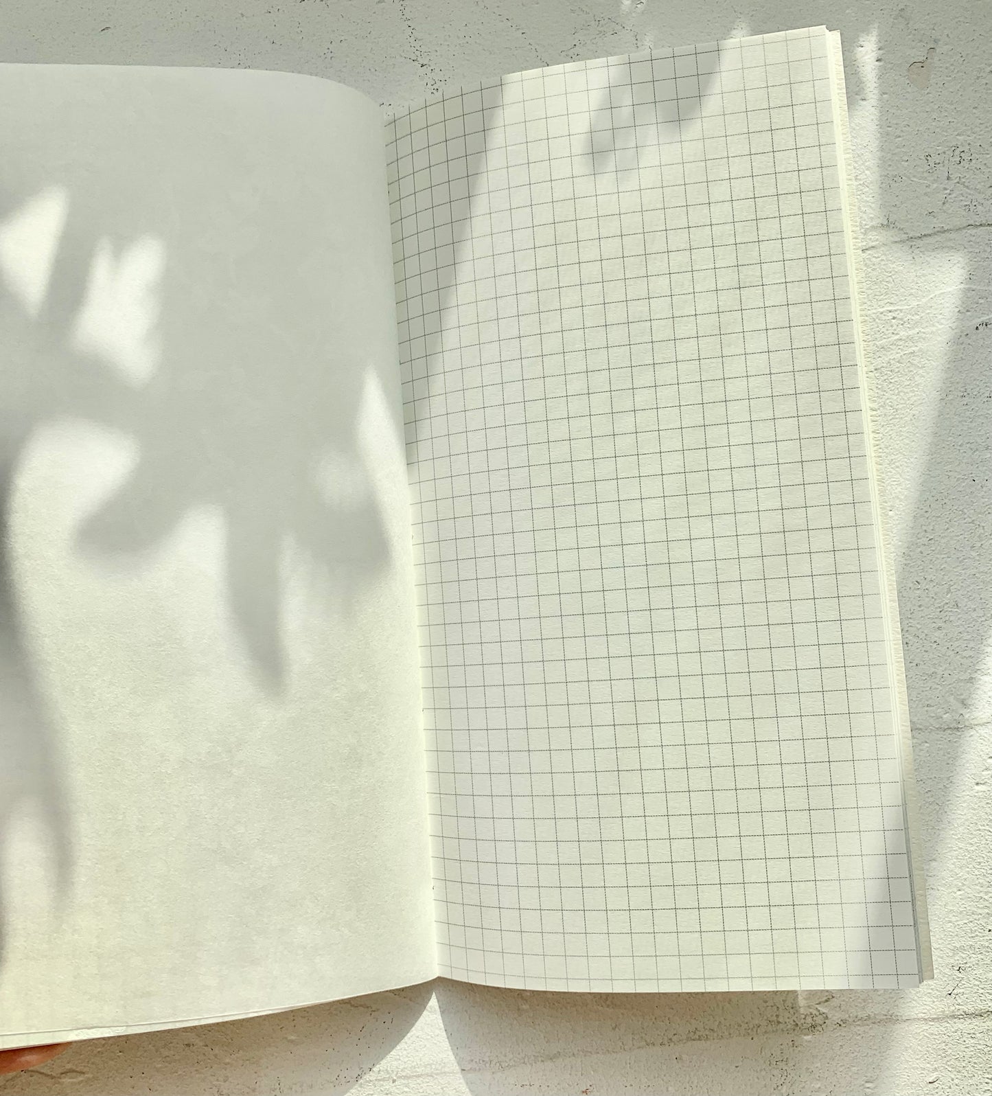 Hanen Studio | Traveler's Note Book | |34P Refill | Special Paper | Journaling Accessories