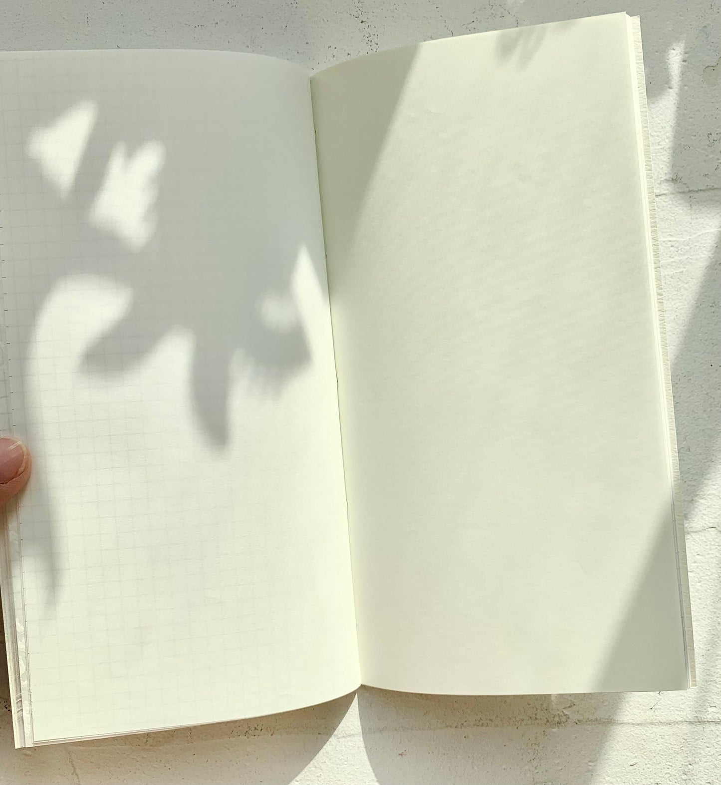 Hanen Studio | Traveler's Note Book | |34P Refill | Special Paper | Journaling Accessories