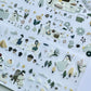 Yier Studio - Picnic in the Forest | 5cm PET Tape |  Release Paper | 5M