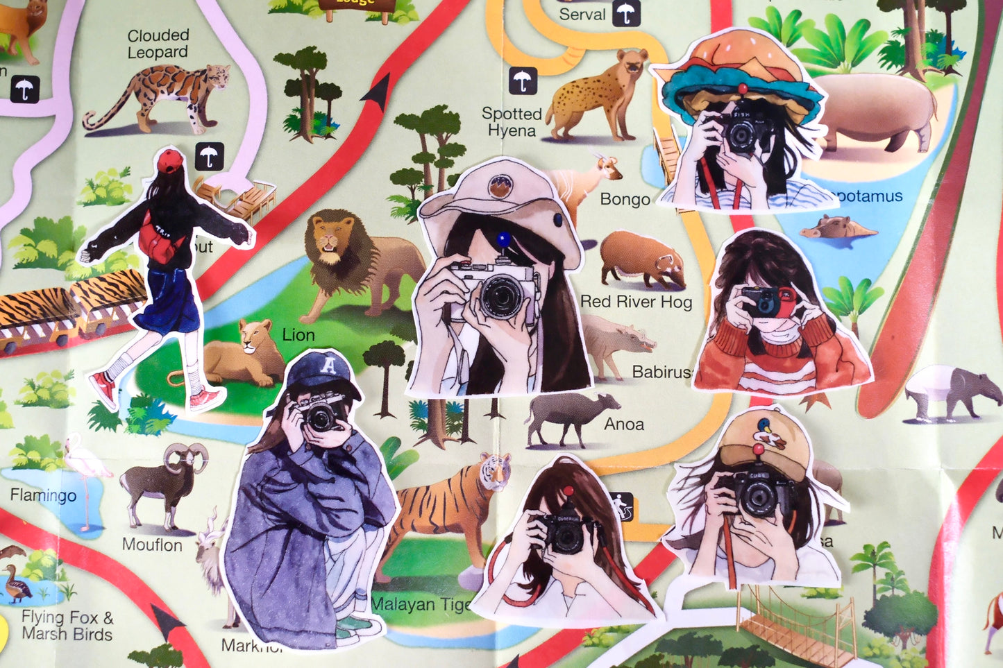 NEW! Cube Fish - Shoot While Walking II | 4cm Tape | Release Paper | 10M