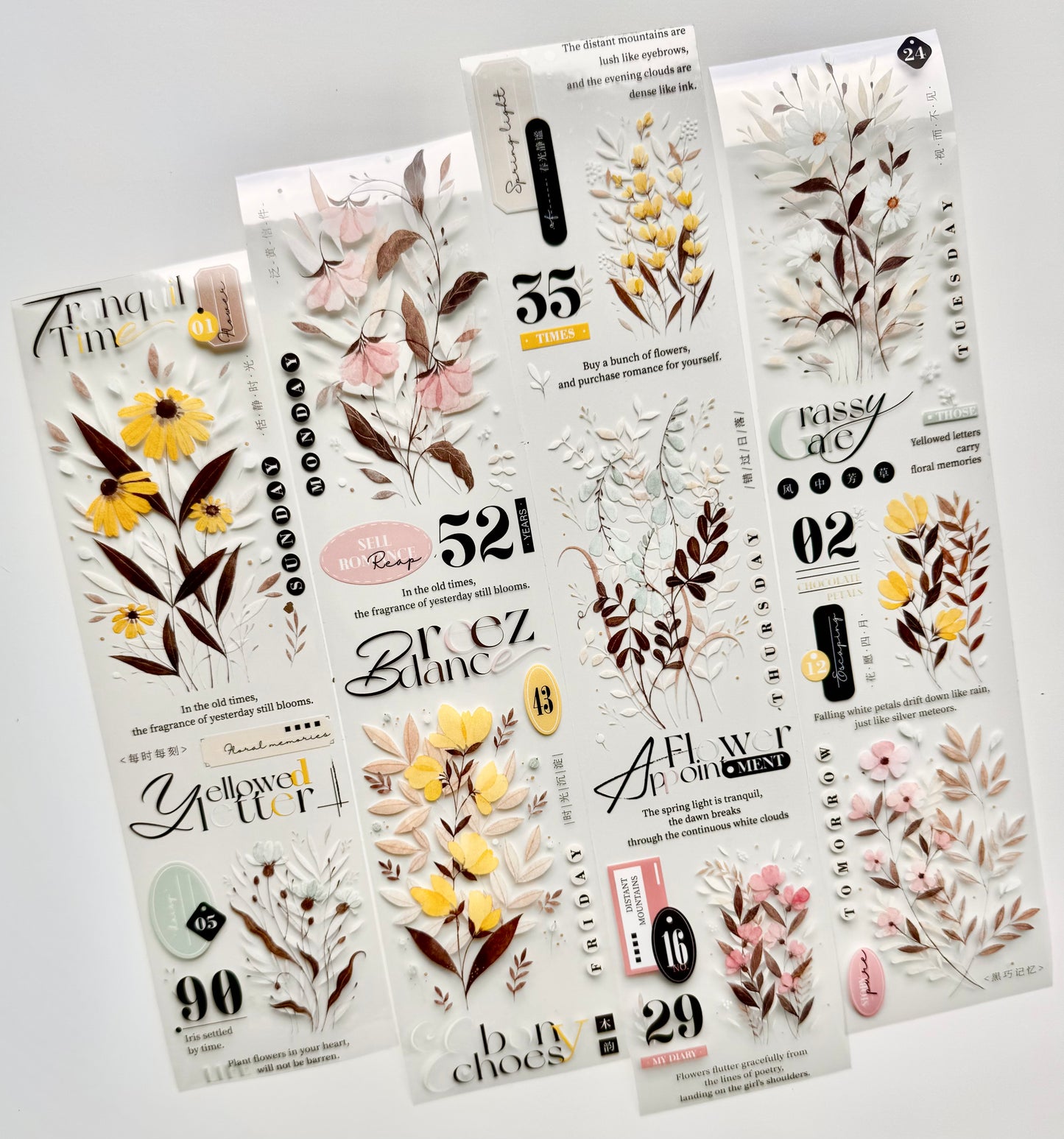 NEW! Xiyue Studio - Melody of Dreams | 6cm PET Tape | Release Paper | 5.1M