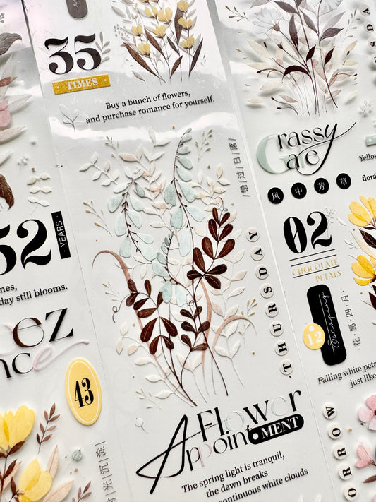 NEW! Xiyue Studio - Melody of Dreams | 6cm PET Tape | Release Paper | 5.1M