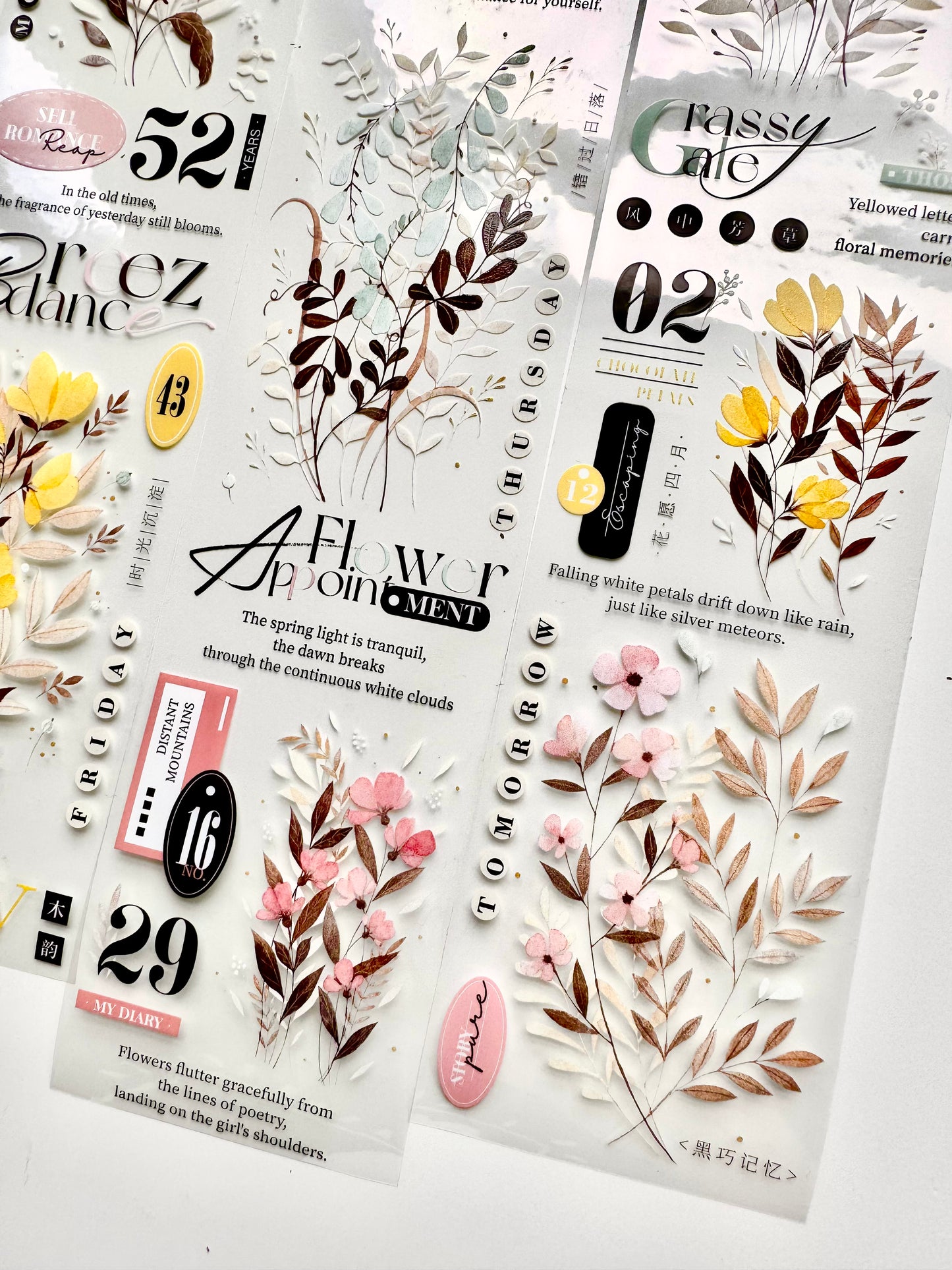 NEW! Xiyue Studio - Melody of Dreams | 6cm PET Tape | Release Paper | 5.1M