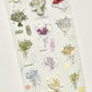 NEW! Xiyue Studio - A Bouquet Of Flowers | 4.5cm PET Tape | Release Paper | 5.1M