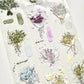 NEW! Xiyue Studio - A Bouquet Of Flowers | 4.5cm PET Tape | Release Paper | 5.1M