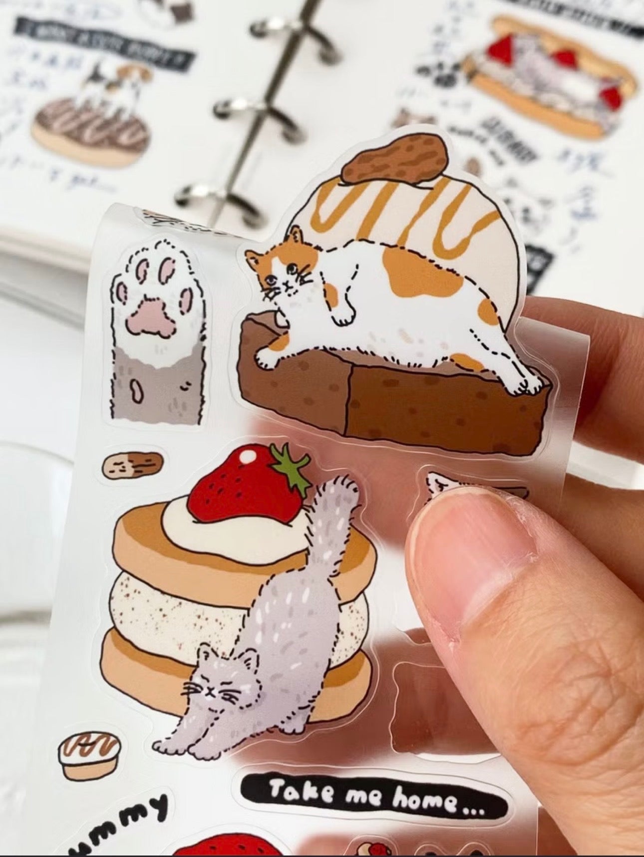 NEW! Yabee Zoo - NYA | Kiss-cut | 5cm Matte PET Tape | Release Paper | 5M