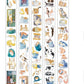 NEW! DingDing - No.54 Kitties | Kiss-cut | 6cm PET Tape |  Release Paper | 10M