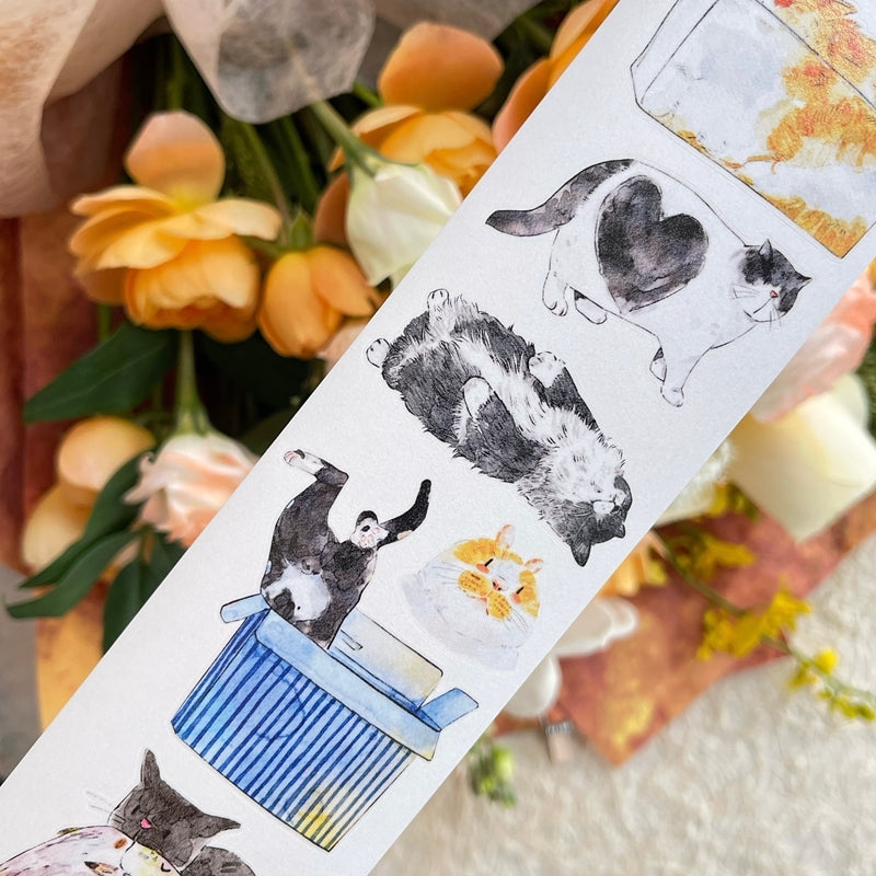 NEW! DingDing - No.54 Kitties | Kiss-cut | 6cm PET Tape |  Release Paper | 10M