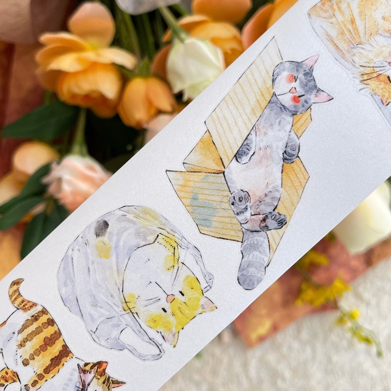 NEW! DingDing - No.54 Kitties | Kiss-cut | 6cm PET Tape |  Release Paper | 10M