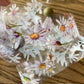 NEW! DingDing - A41 Wild Purple Daisy | Kiss-cut | 5cm PET Tape |  Release Paper | 5M