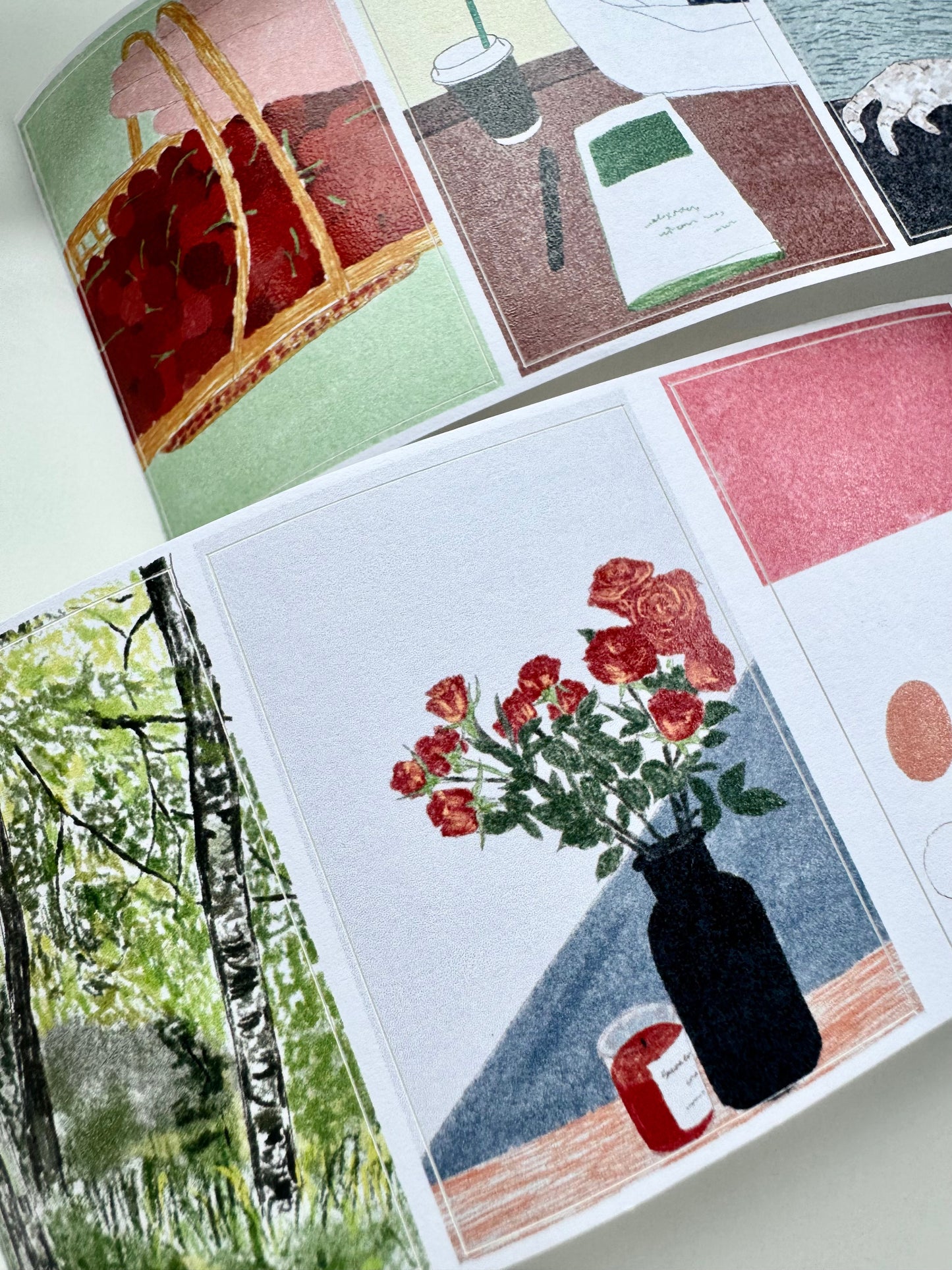 NEW! Wanle Studio - Spring & Summer Days | Die-cut | 6cm Paper Tape |  Release Paper | 6.15M