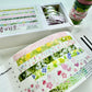 NEW! Wanle Studio - Spring | 1cm Washi Tape | Basic Tape | 8 Rolls Set | NO Release Paper | 5M