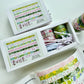 NEW! Wanle Studio - Spring | 1cm Washi Tape | Basic Tape | 8 Rolls Set | NO Release Paper | 5M