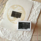 NEW! Two Raccoons - Captured Memories | Wooden Box | 8pcs Rubber Stamp Set