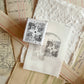 NEW! Two Raccoons - Captured Memories | Wooden Box | 8pcs Rubber Stamp Set