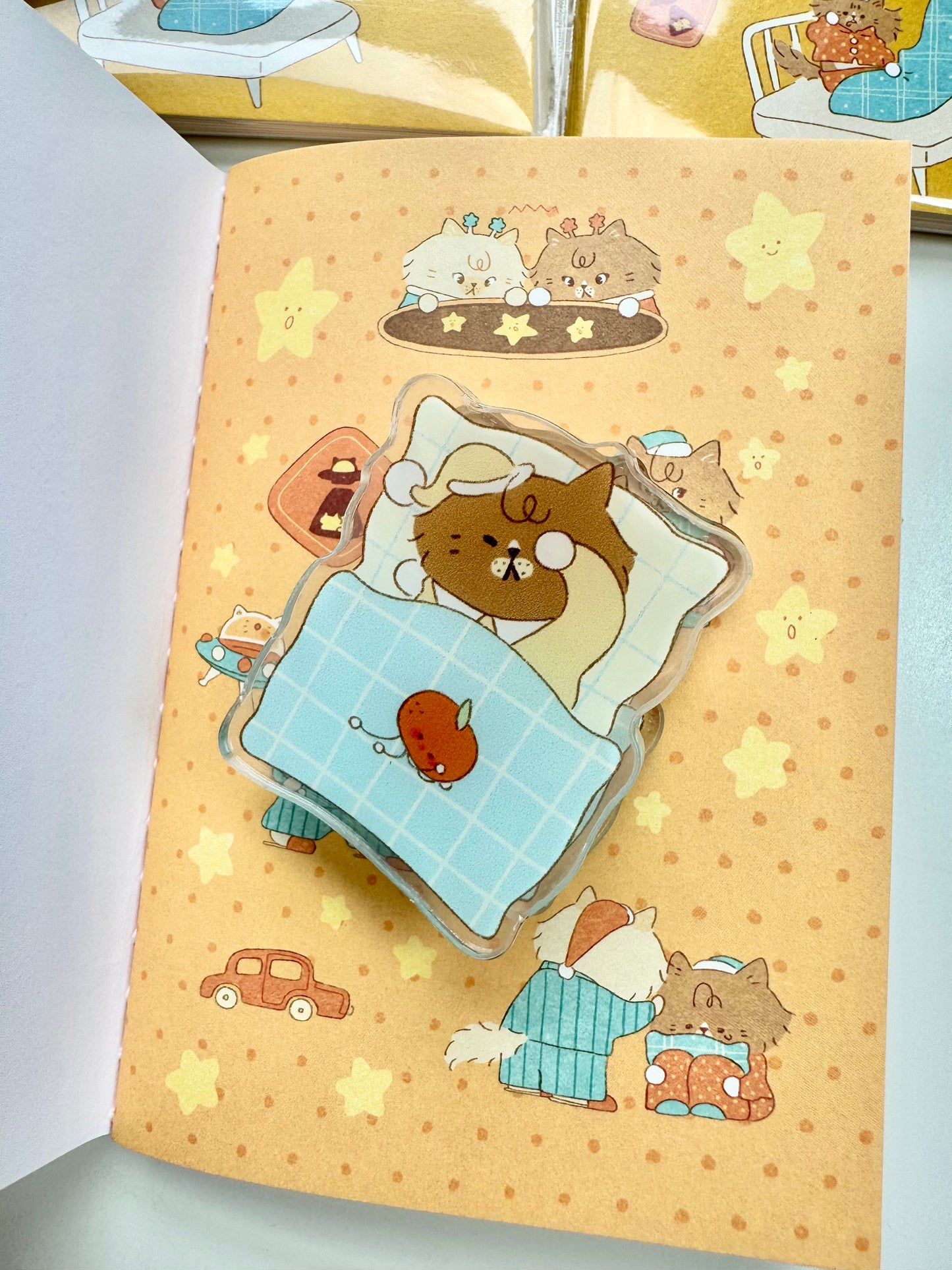 NEW! Lazy Home X Idiot_sandwich | Acrylic Clips | Journaling Accessories