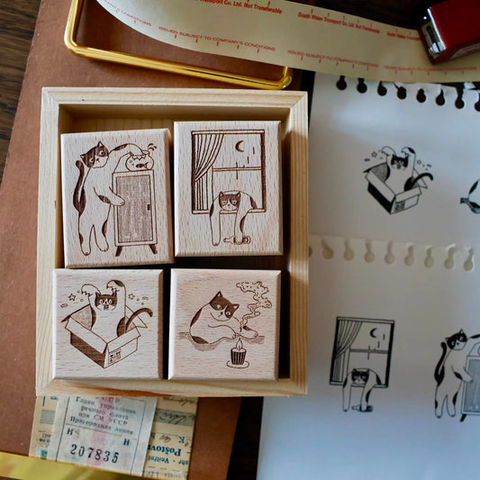 COMING SOON! Two Raccoon -
