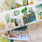 NEW! DingDing - A56 Green | Kiss-cut | 6cm PET Tape | Release Paper | 5M