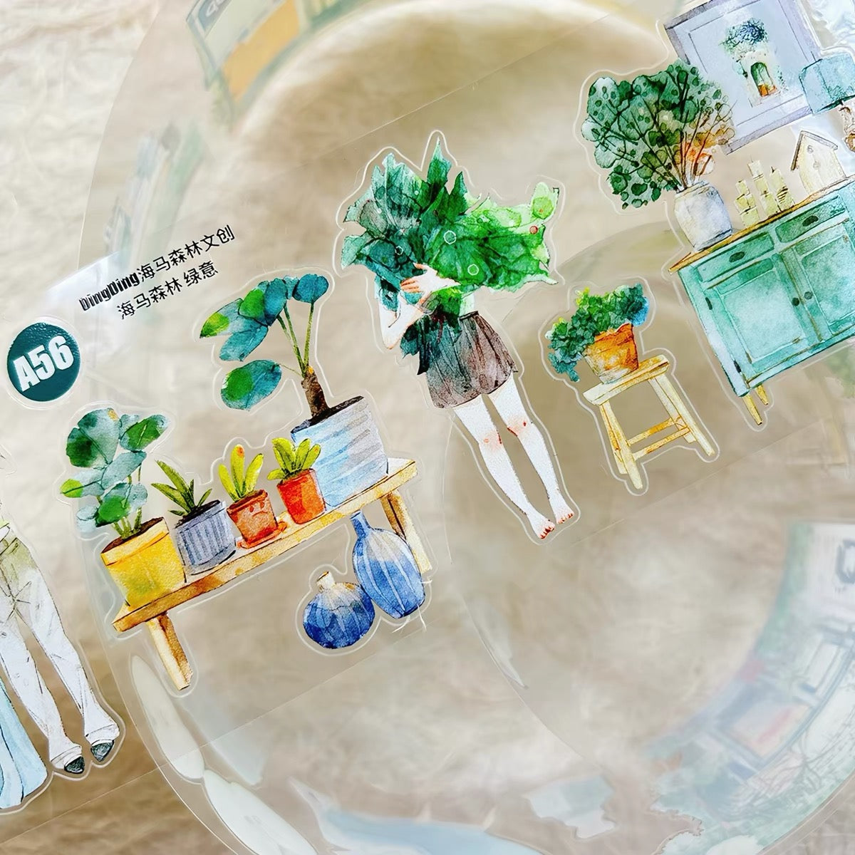 NEW! DingDing - A56 Green | Kiss-cut | 6cm PET Tape | Release Paper | 5M