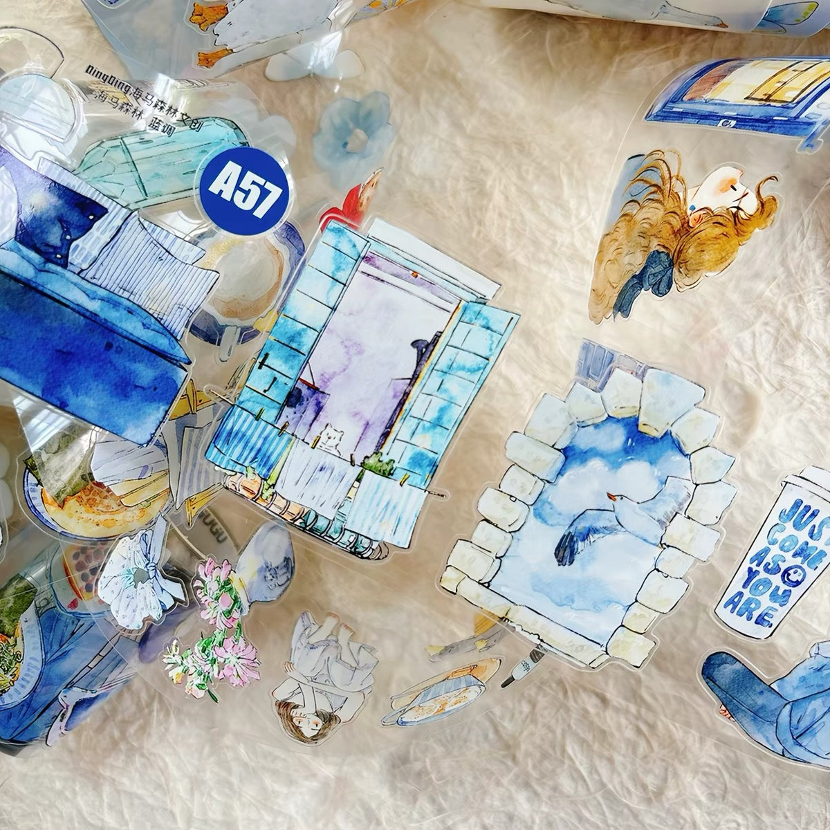 NEW! DingDing - A57 Blue | Kiss-cut | 6cm PET Tape | Release Paper | 5M