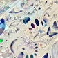 ZX Studio - Butterfly Planet | 7cm Laser Iridescent PET Tape | Release Paper