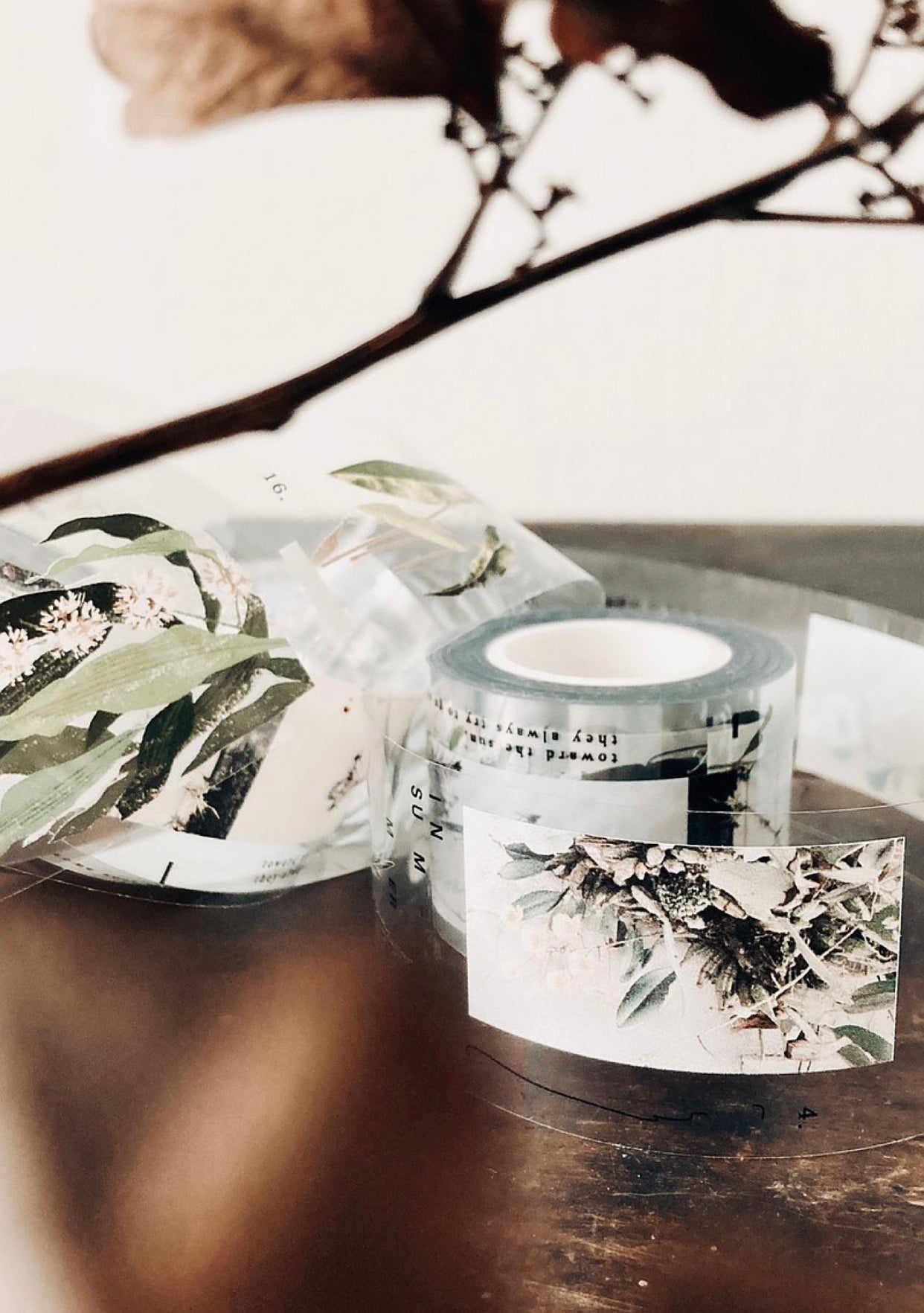 Somesortof.fern - Days With Leaves | 3.5cm PET Tape | Release Paper