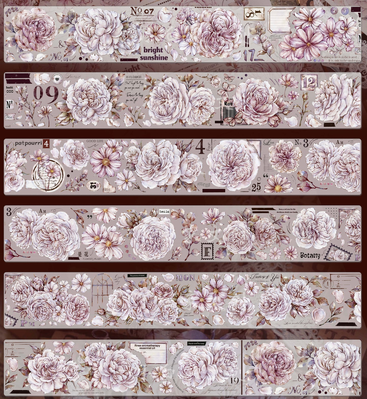 XBJia Studio - It's Flower | 6cm PET Tape |  Release Paper | 6M