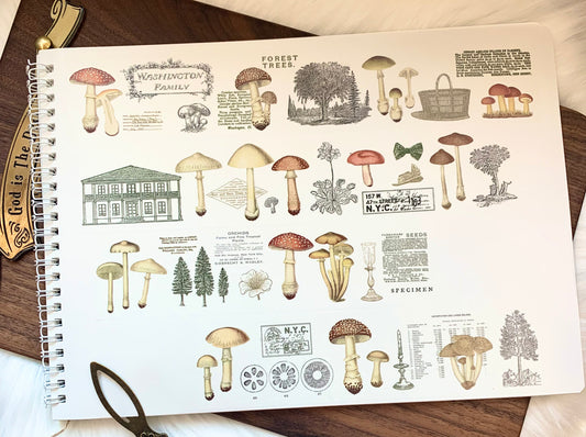 MOSSWOOD - 5cm Mushroom | Release Paper