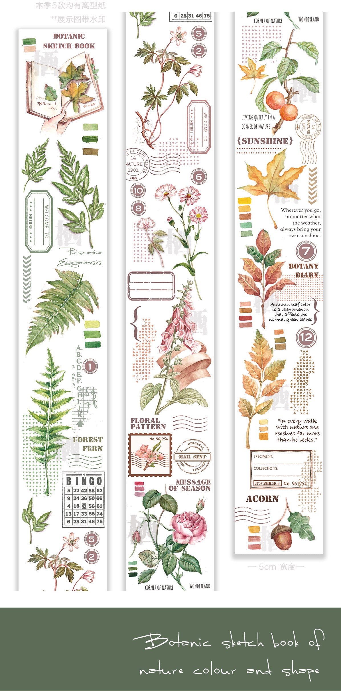 QQY Studio - 5cm Botanic Diary  | Washi Tape| Release Paper
