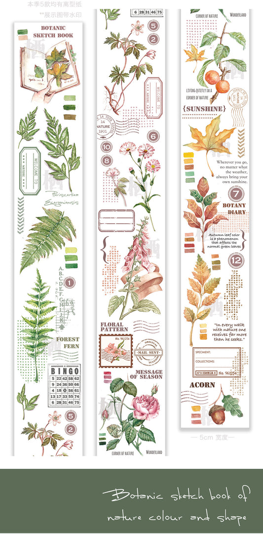 QQY Studio - 5cm Botanic Diary  | Washi Tape| Release Paper