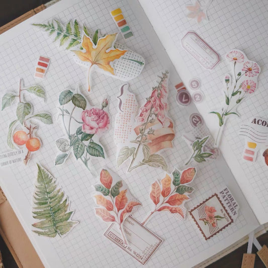 QQY Studio - 5cm Botanic Diary  | Washi Tape| Release Paper