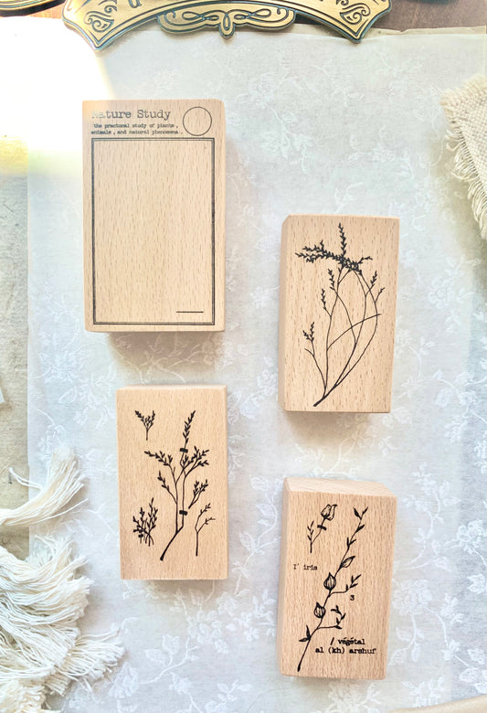 Jeenzaa Zoey Studio - <Flower. Branch > | Set 1 | Rubber Stamps