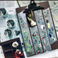 Somesortof.fern - 5cm The Fruitful | PET Tape | Release Paper