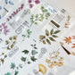 AyuH Studio - Leaves | 5cm PET Tape |  Release Paper