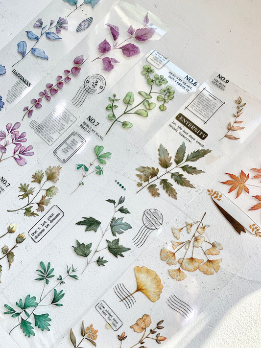 AyuH Studio - Leaves | 5cm PET Tape |  Release Paper