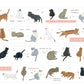 Fstudio- 3cm Those Cats | PET Tape | Release Paper