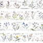 Meow Illustration - Garden Journals | Washi Tape | Release Paper